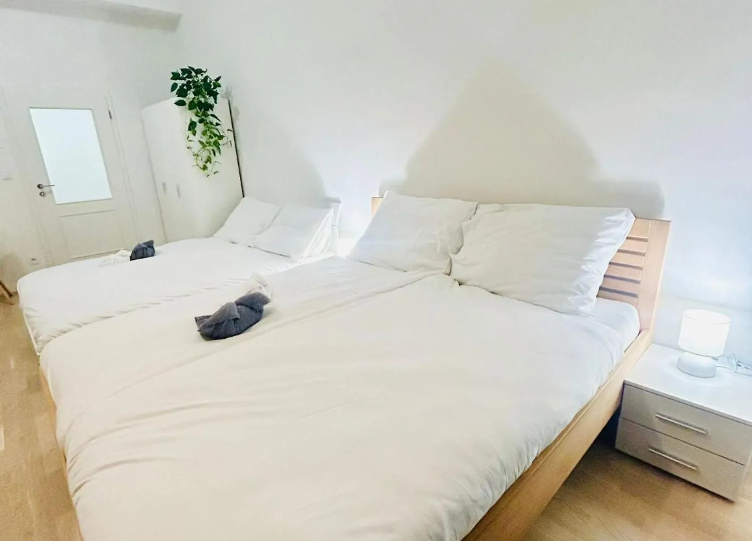 Cozy Design Homestay Right Next To Wenceslas Square Прага 0*,